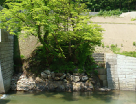 河川砂防及び海岸・海洋部門